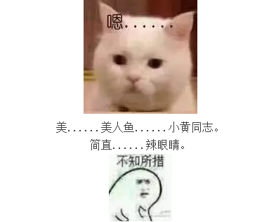 1501552539279263.png QQ截圖20170801095219.png