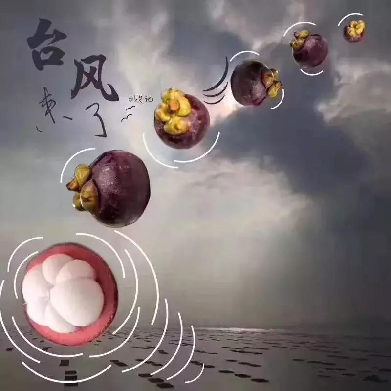 1539078855440660.jpg 微信圖片_20180921144842.jpg