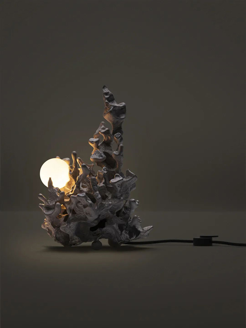 1713251115751256.jpg 24.jpg