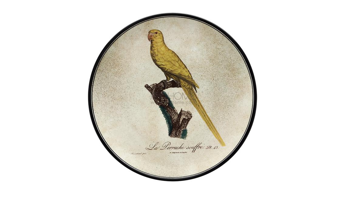 PIATTO DA MURO11盤子