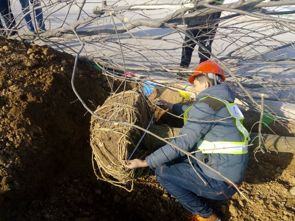 這才是真正的羅曼蒂克