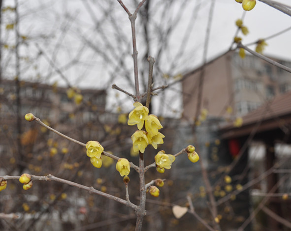 大理石，還能這么玩兒？