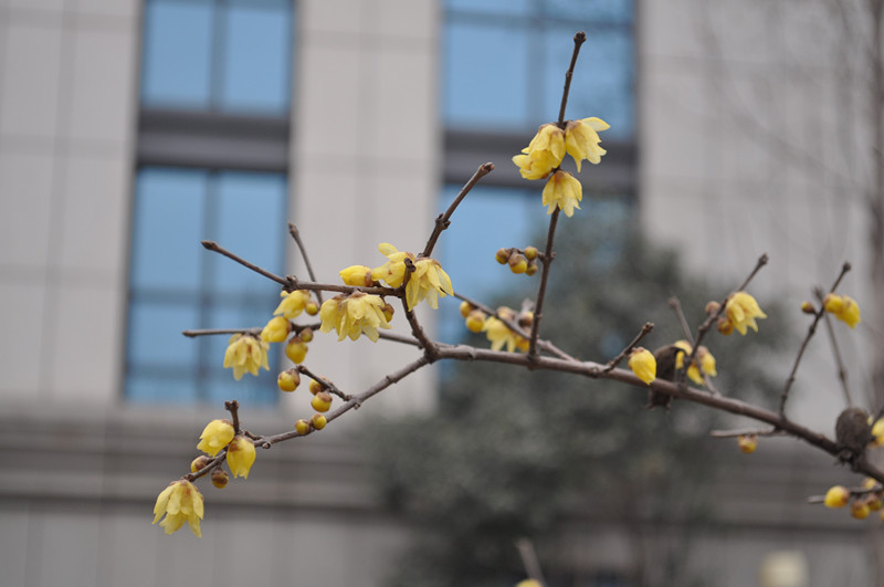 這些怪異的設(shè)計(jì)，竟是曾為邁克爾·杰克遜私人定制的