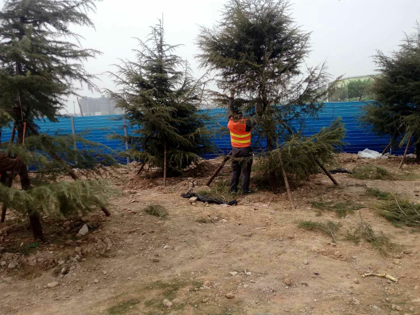 2017，再見華星！2018，你好望京！