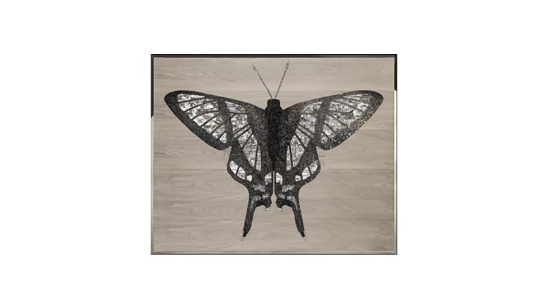 VISIONNAIREDanaus藝術(shù)畫(huà)