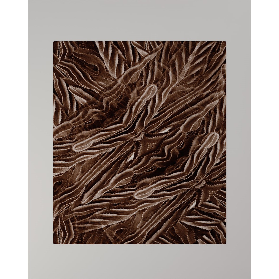 tappeti-CACTUS – TAPPETO-地毯