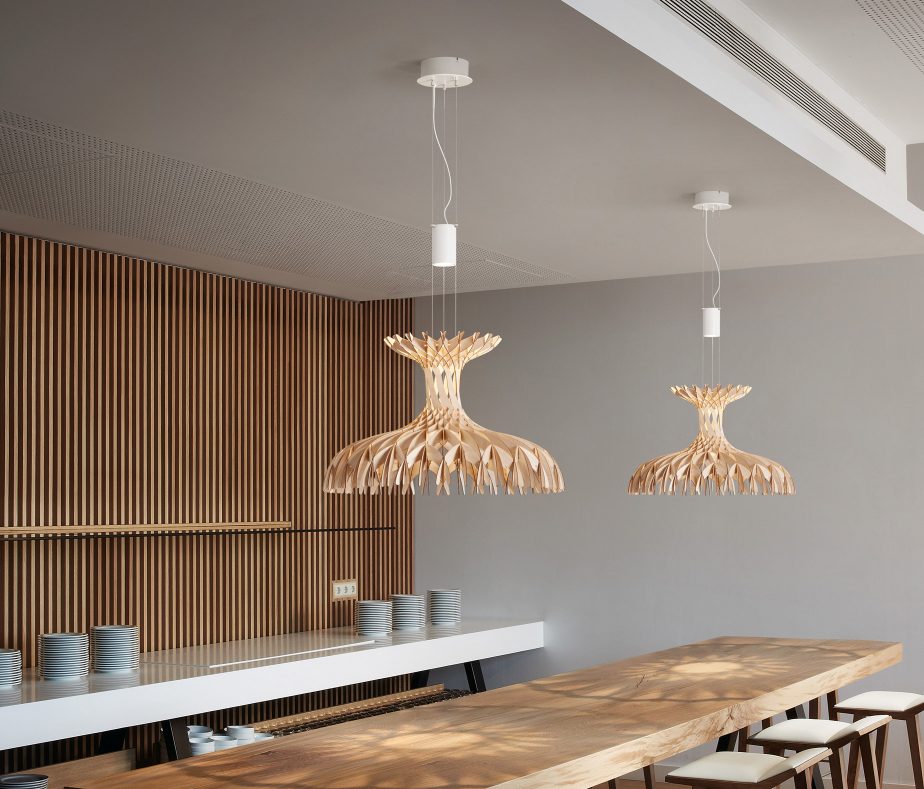 Pendant Dome60  01吊燈