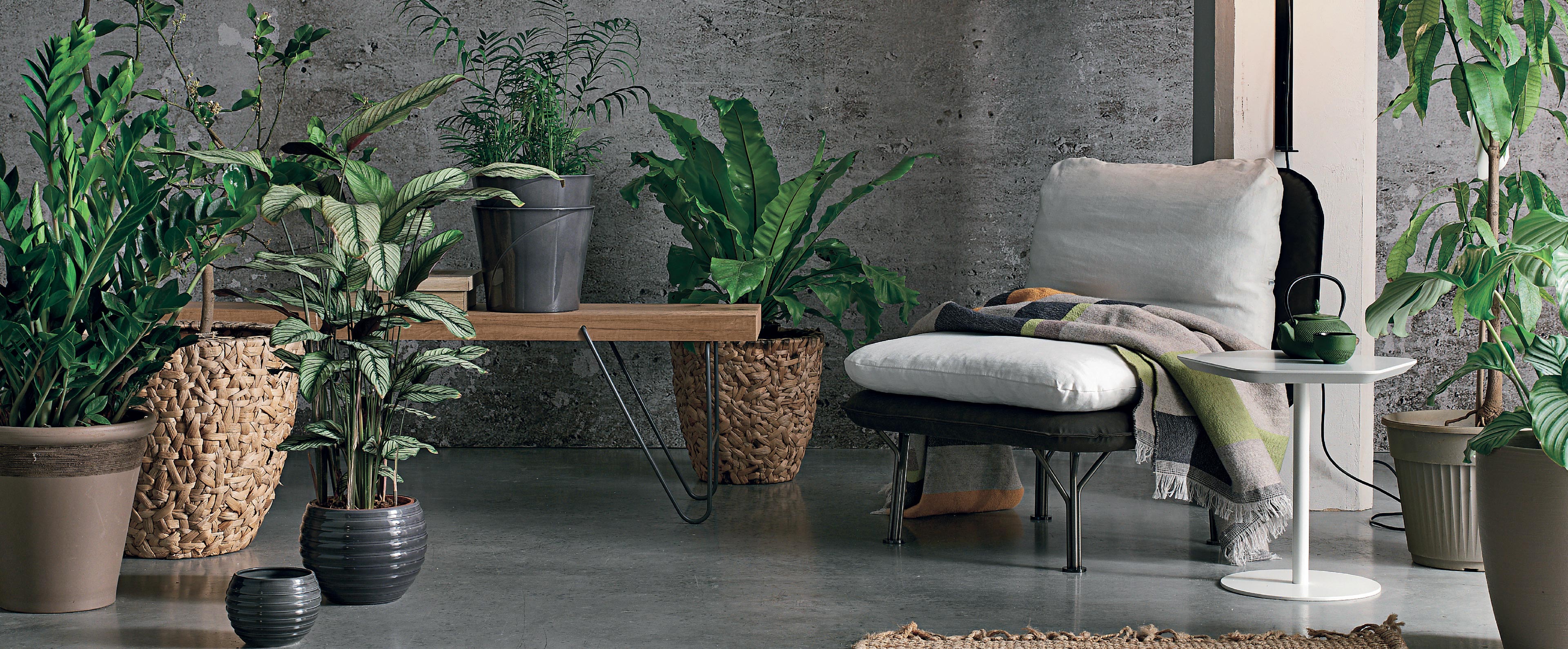 Gruppo TomasellaMAYA OCCASIONAL CHAIR休閑椅