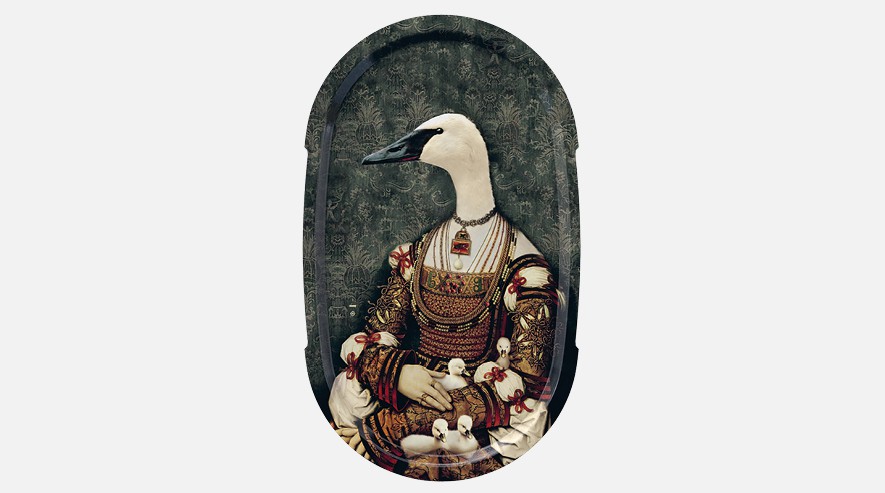 IbrideTrays size L | Ellipse 畫(huà)