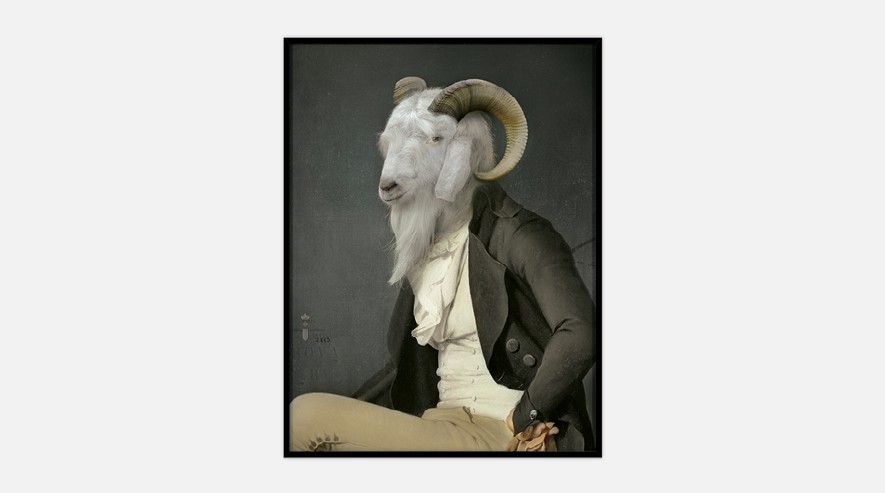 IbrideCollector portrait Rodolphe 畫(huà)