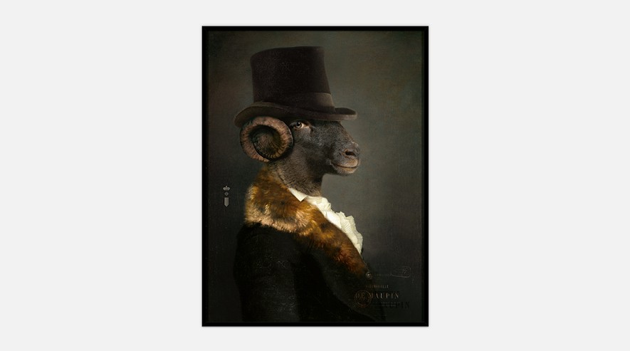 IbrideCollector portrait Maupin 畫(huà)