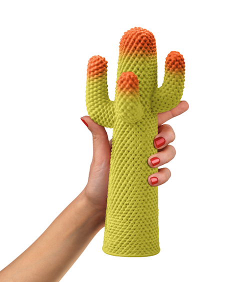 GuframGuframini Cactus Meta雙色迷你仙人掌